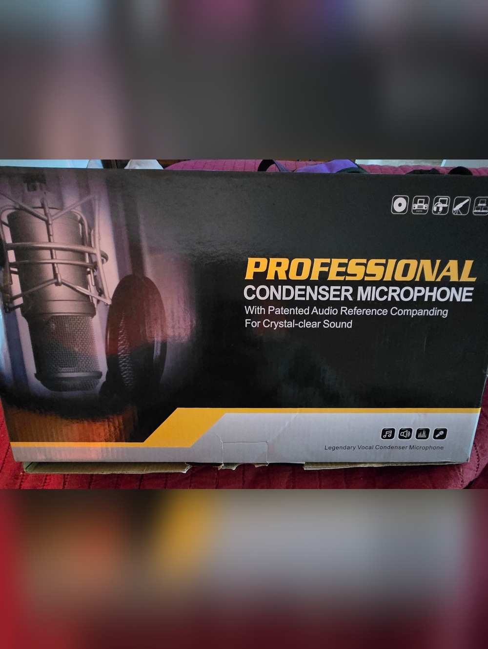 Professional Condenser Microphone  And Sound Box NWOT